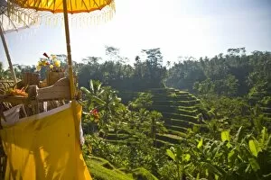 Images Dated 28th May 2007: Indonesia, Bali Province, Ubud. Tegalalang Rice Terraces