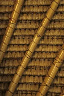 Diagonal Prints: Indonesia, Bali, Ubud. Bamboo rafters and thatched roof of traditional Balinese home