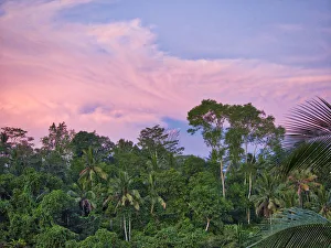 Azure Prints: Indonesia, Bali, Ubud. Sunrise in the rainforest