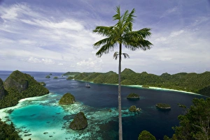 Diving Prints: Indonesia, New Guinea Island, Papua