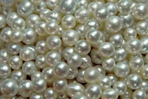 Fish Prints: Indonesia, Papua, Raja Ampat. Bowl of pearls cultured from silver-lipped pearl oysters