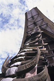 Indonesia, Sulawesi, Tana Toraja Region. Buffalo horns from sacrifices adorn