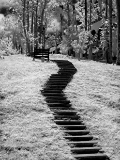 Las Terrazas Prints: Infra red of trees buildings and trails in Las Terrazas nature reserve in Cuba