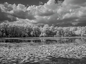 Infrared Prints: Infrared of Gerhardt Lake in Lebanon Hills Regional Park, Eagan, central Minnesota