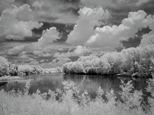 Minnesota Prints: Infrared of Minnesota River, Minnesota River Valley Wildlife Refuge, central Minnesota