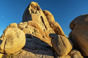 New Images March 2025 Part 2 Prints: Intersection Rock in Joshua Tree National Park, California, USA