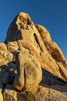 New Images March 2025 Part 2 Prints: Intersection Rock in Joshua Tree National Park, California, USA
