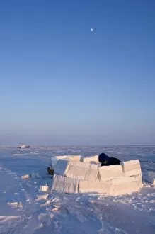Images Dated 11th March 2006: inupiat guide Bruce Inglangasak building an igloo snow blind, along the Arctic coast