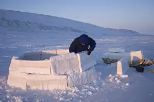 inupiat guide Bruce Inglangasak building an igloo snow blind, along the Arctic coast