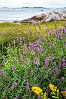 Ipswich Bay, Annisquam, Massachusetts, USA