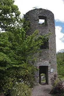Blarney Castle Prints: In Ireland, at the Blarney Castlea stone tower ruin in the castle garden among trees