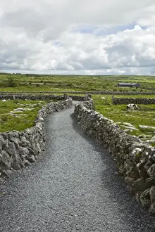 Pathway Prints: Ireland, Burren, Kilfenora. A walking path through the historice site of Kilfenora