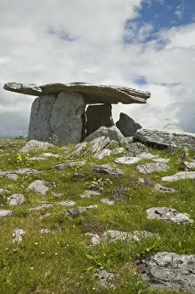 Images Dated 24th June 2007: Ireland, The Burren. The Poulnabrone Stones