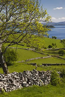World Locations Prints: Ireland, County Galway, Cong, elevated springtime landscape