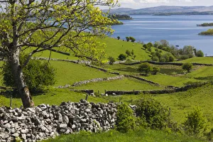 Ireland, County Galway, Cong, elevated springtime landscape