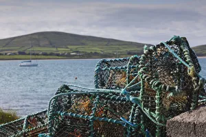 Images Dated 25th May 2016: Ireland, County Kerry, Dingle Peninsula, Slea Head Drive, Ventry, Ventry Harbor