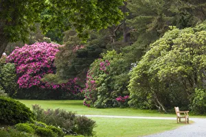 Republic Prints: Ireland, County Kerry, Ring of Kerry, Killarney, Killarney National Park, gardens