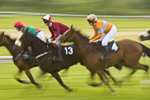 Images Dated 29th May 2005: Ireland, County Mayo, Ballinrobe. Jockeys race their horses around the track