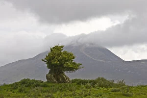 Ireland, County Mayo. Landscape with Croagh Patrick in background
