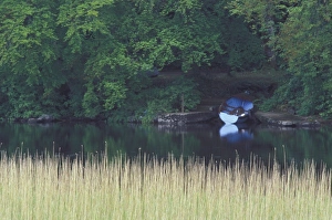 Row Boat Prints: Ireland, County Mayo. Lough Corrub, Rowboat