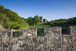 Images Dated 31st May 2016: Ireland, County Wexford, Hook Peninsula, Saltmills, Tintern Abbey, 13th century