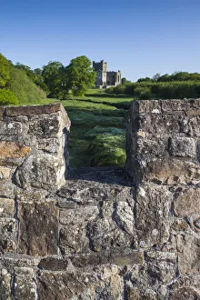 Images Dated 31st May 2016: Ireland, County Wexford, Hook Peninsula, Saltmills, Tintern Abbey, 13th century