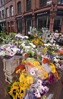 Ireland, Dublin, flower market