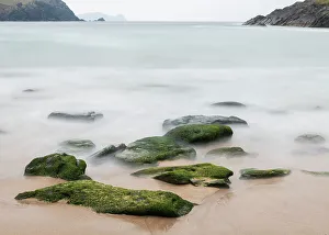 Images Dated 26th November 2022: Ireland, Dunquin, Kinnard Beach. Abstract of wave froth and rocks on shore