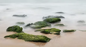 Images Dated 26th November 2022: Ireland, Dunquin, Kinnard Beach. Abstract of wave froth and rocks on shore