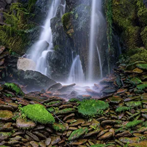 Ireland Prints: Ireland, Ferriter's Cove. Close-up of waterfall and mossy rocks