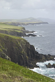 Images Dated 29th July 2009: IRELAND, Kerry, Dingle Peninsula. Rugged coastline along the Ring of Dingle