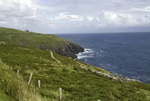 Images Dated 29th July 2009: IRELAND, Kerry, Dingle Peninsula. Rugged coastline