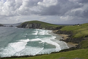 Images Dated 29th July 2009: IRELAND, Kerry, Dingle Peninsula. Slea Head
