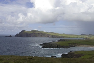 Images Dated 29th July 2009: IRELAND, Kerry, Dingle Peninsula. Sybil Head