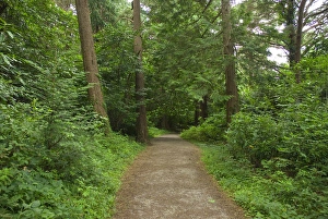 Images Dated 27th July 2009: IRELAND, Kerry, Killarney National Park. HIking trails near Muckross House