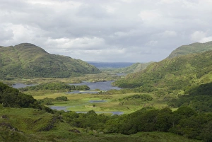 Images Dated 27th July 2009: IRELAND, Kerry, Killarney National Park. Ladies View