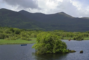 Images Dated 29th July 2009: IRELAND, Kerry, Killarney National Park. Lough Leane from Ross Castle