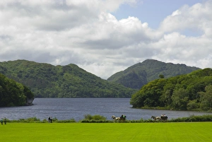 Images Dated 27th July 2009: IRELAND, Kerry, Killarney National Park. View of Lough Leane from Muckross House