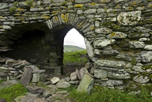 Images Dated 28th July 2009: IRELAND, Kerry, Ring of Kerry. Ballycarberry Castle, near Cahersiveen. Ruined archway