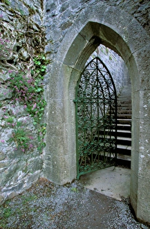 Images Dated 10th April 2006: Ireland, Co Mayo, Ashford Castel, Tower gate