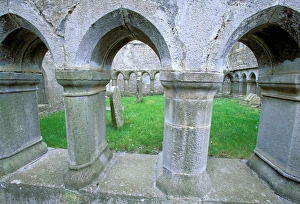 Images Dated 10th April 2006: Ireland, Co mayo. Ross Abbey