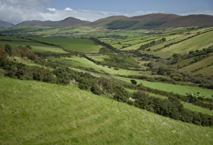 Images Dated 14th September 2006: Irish Countryside, Ireland, Farms, Landscape, Scenic, Hills, Valley