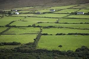 Irish Countryside, Ireland, Farms, Landscape, Scenic