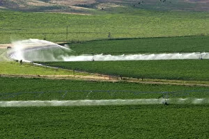 Images Dated 2nd June 2007: Irrigation on farmland near Glenns Ferry, Idaho
