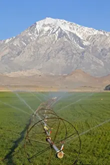 Images Dated 9th May 2009: Irrigation sprinkler in agricultural fields in Bishop California