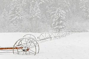 Prints of Irrigation sprinkler system in winter snowstorm, Kalispell, Montana Images Dated 2019 July: Irrigation sprinkler system in winter snowstorm, Kalispell, Montana