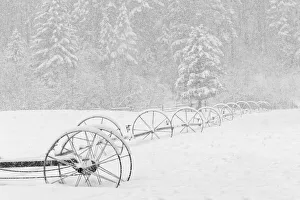 Images Dated 18th July 2019: Irrigation sprinkler system in winter snowstorm, Kalispell, Montana