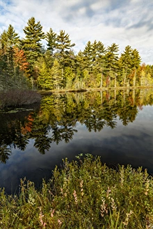 Michigan Prints: Irwin Lake and bog, Hiawatha National Forest, Upper Peninsula of Michigan