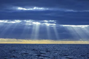 Sun Ray Prints: Isaac Hale Beach Park, near former town of Kalapana, Big Island, Hawaii