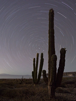 Images Dated 7th April 2011: Isla Carmen, Sea of Cortez, Baja, Mexico